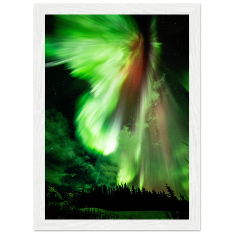 Aurora Borealis - Das Leuchten der Polarlichter - Aurora Designs