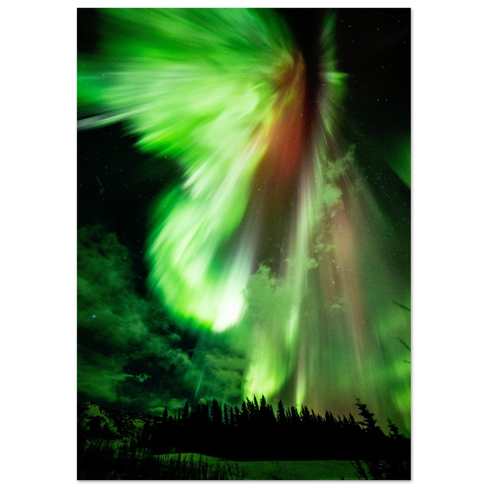 Aurora Borealis - Das Leuchten der Polarlichter - Aurora Designs