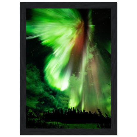 Aurora Borealis - Das Leuchten der Polarlichter - Aurora Designs