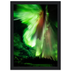 Aurora Borealis - Das Leuchten der Polarlichter - Aurora Designs