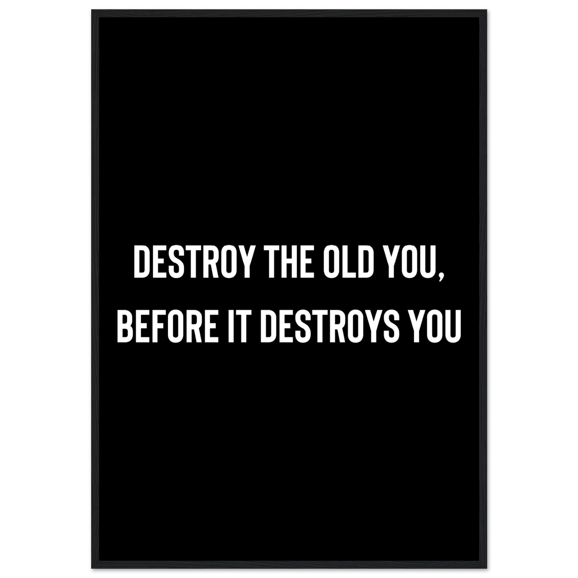 Destroy the old you, before it destroys you - Aurora Designs