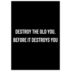 Destroy the old you, before it destroys you - Aurora Designs