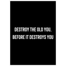 Destroy the old you, before it destroys you - Aurora Designs