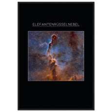 Elefantenrüsselnebel - Edition 2 - Aurora Designs