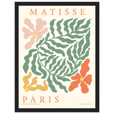 Henri Matisse - Papiers découpés: Botanische Harmonie - Aurora Designs