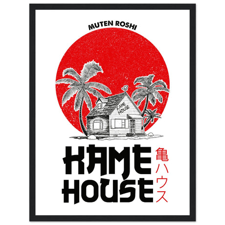 Kame House - Dragonball - Aurora Designs