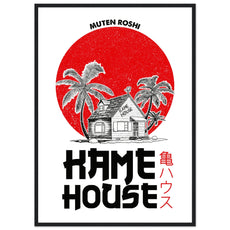 Kame House - Dragonball - Aurora Designs