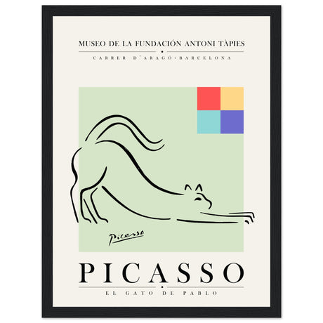 Pablo Picasso - El Gato De Pablo - Aurora Designs