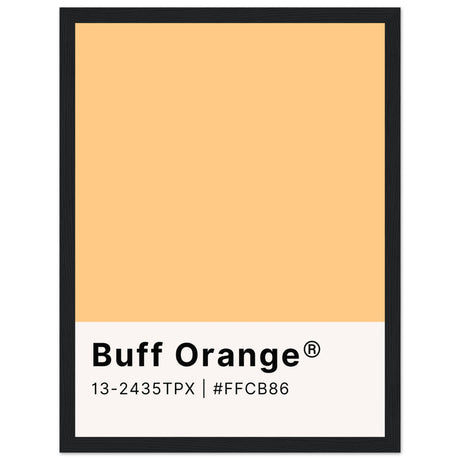 Pantone Buff Orange - Aurora Designs