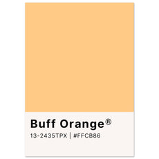 Pantone Buff Orange - Aurora Designs