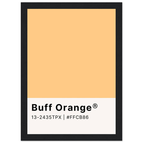 Pantone Buff Orange - Aurora Designs