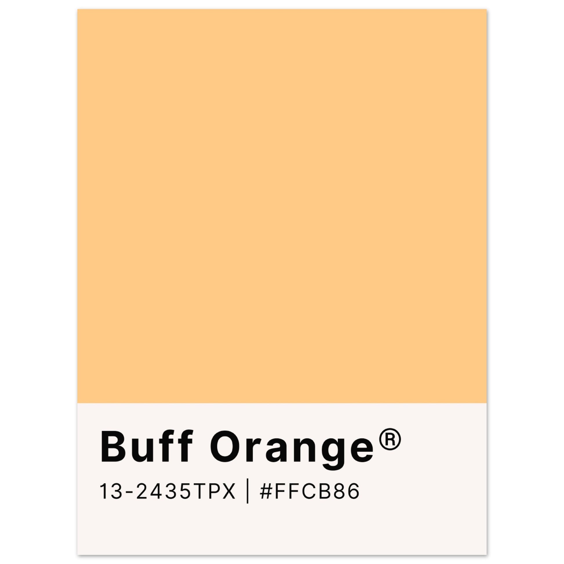 Pantone Buff Orange - Aurora Designs