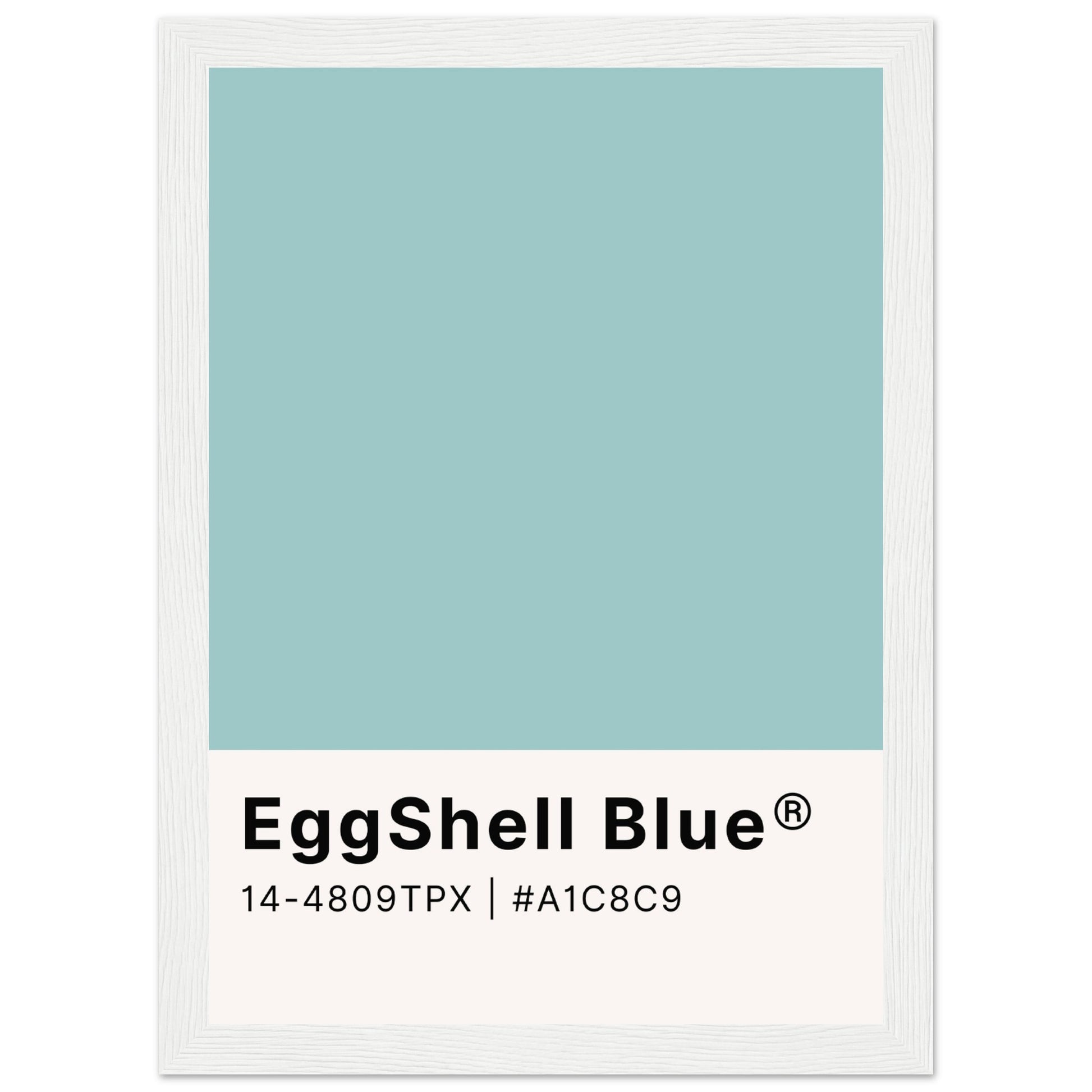 Pantone EggShell Blue - Aurora Designs