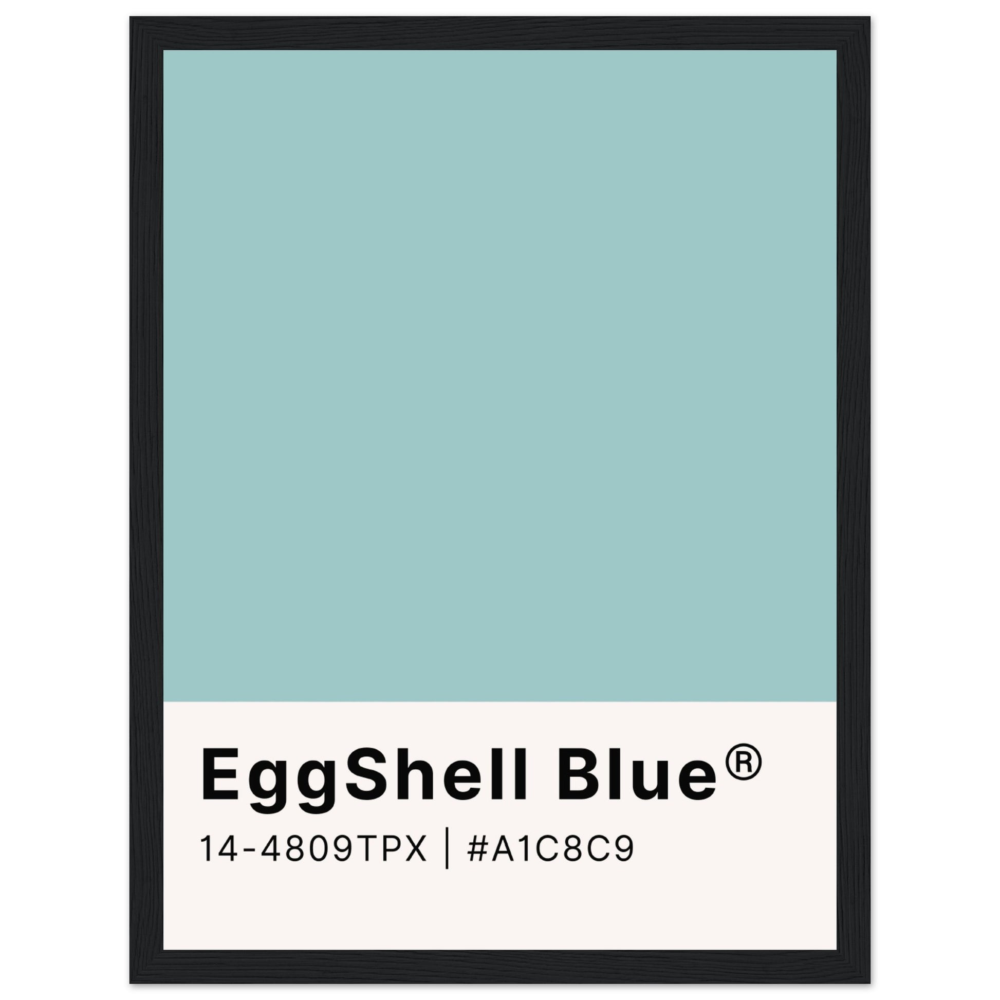 Pantone EggShell Blue - Aurora Designs