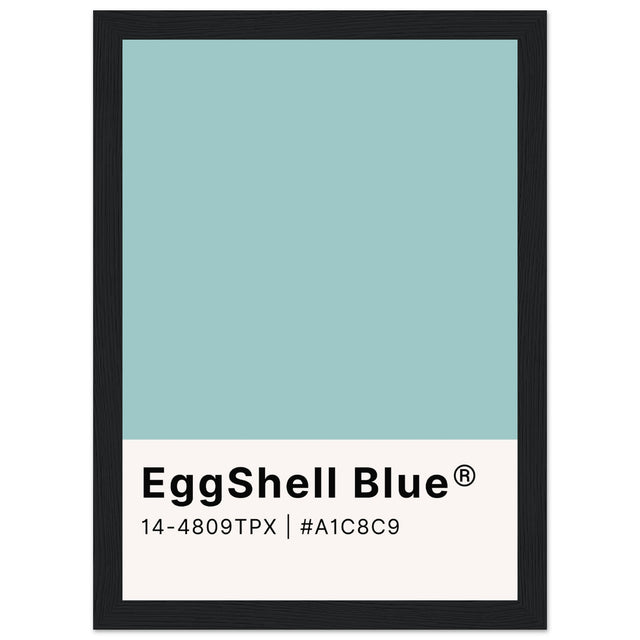 Pantone EggShell Blue - Aurora Designs