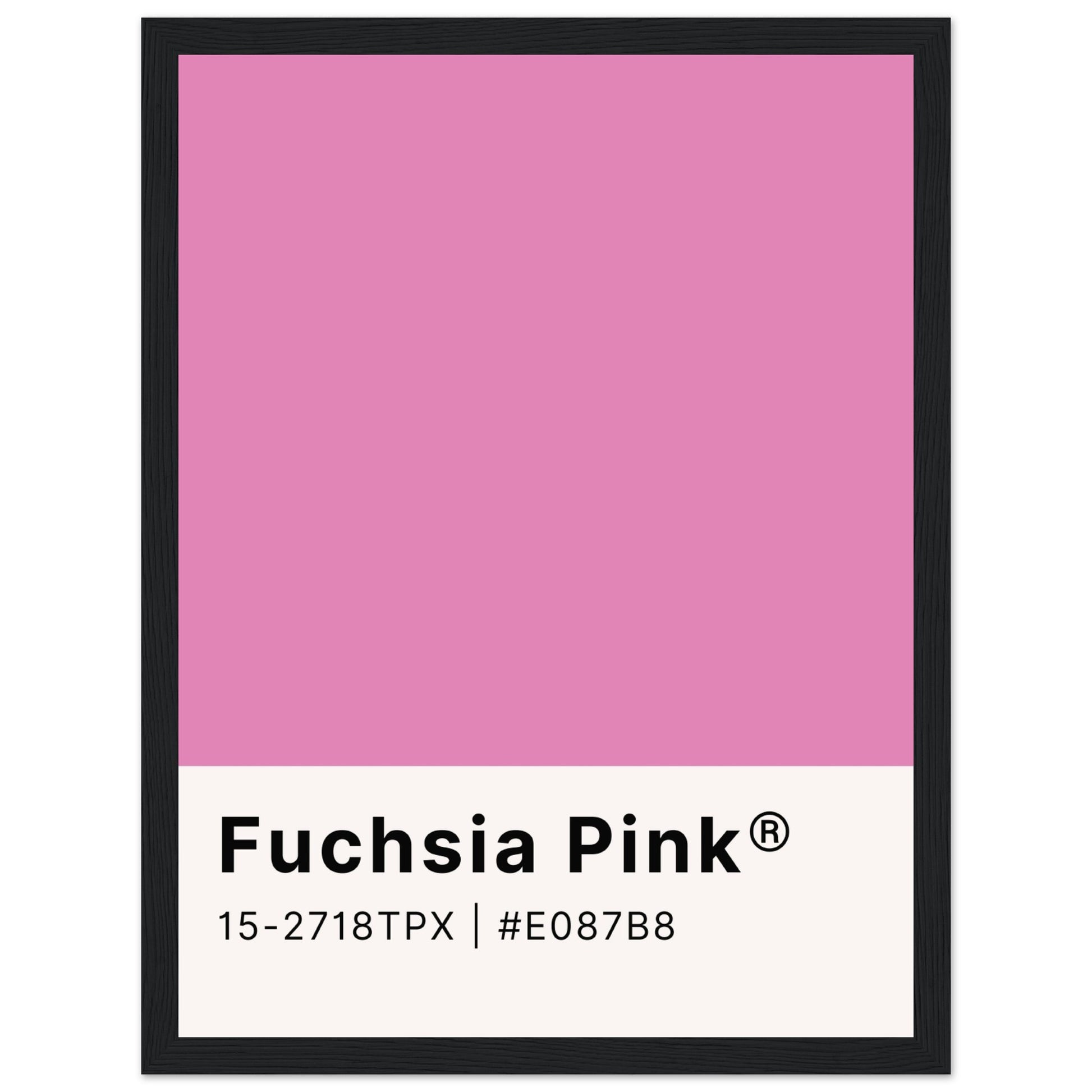 Pantone Fuchsia Pink - Aurora Designs