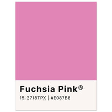 Pantone Fuchsia Pink - Aurora Designs