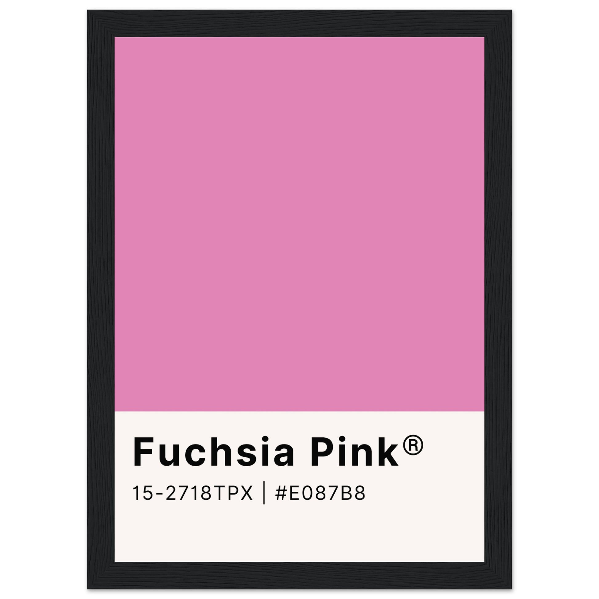 Pantone Fuchsia Pink - Aurora Designs