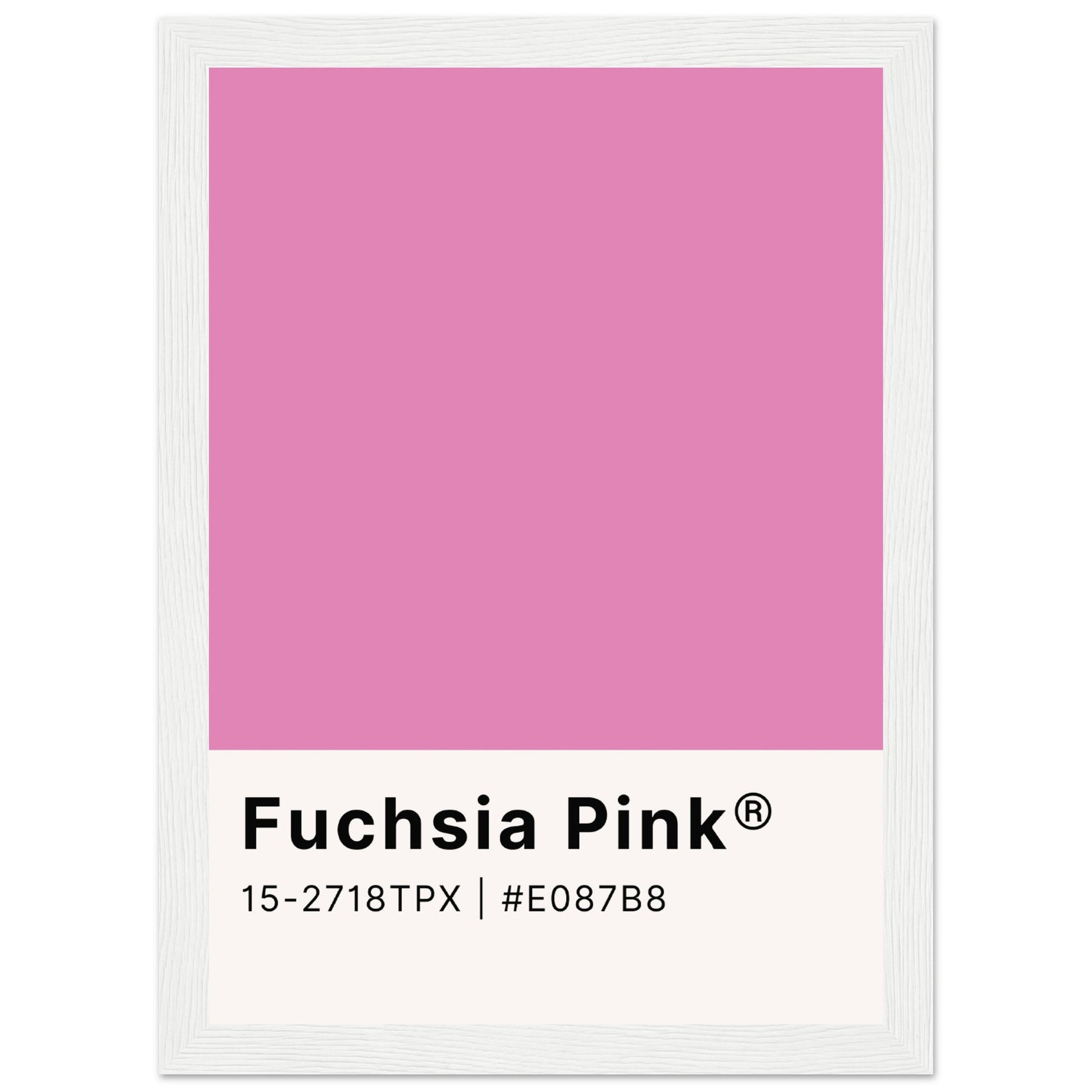 Pantone Fuchsia Pink - Aurora Designs