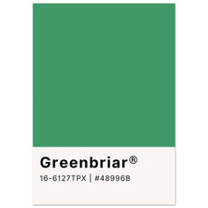 Pantone Greenbriar - Aurora Designs