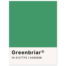 Pantone Greenbriar - Aurora Designs