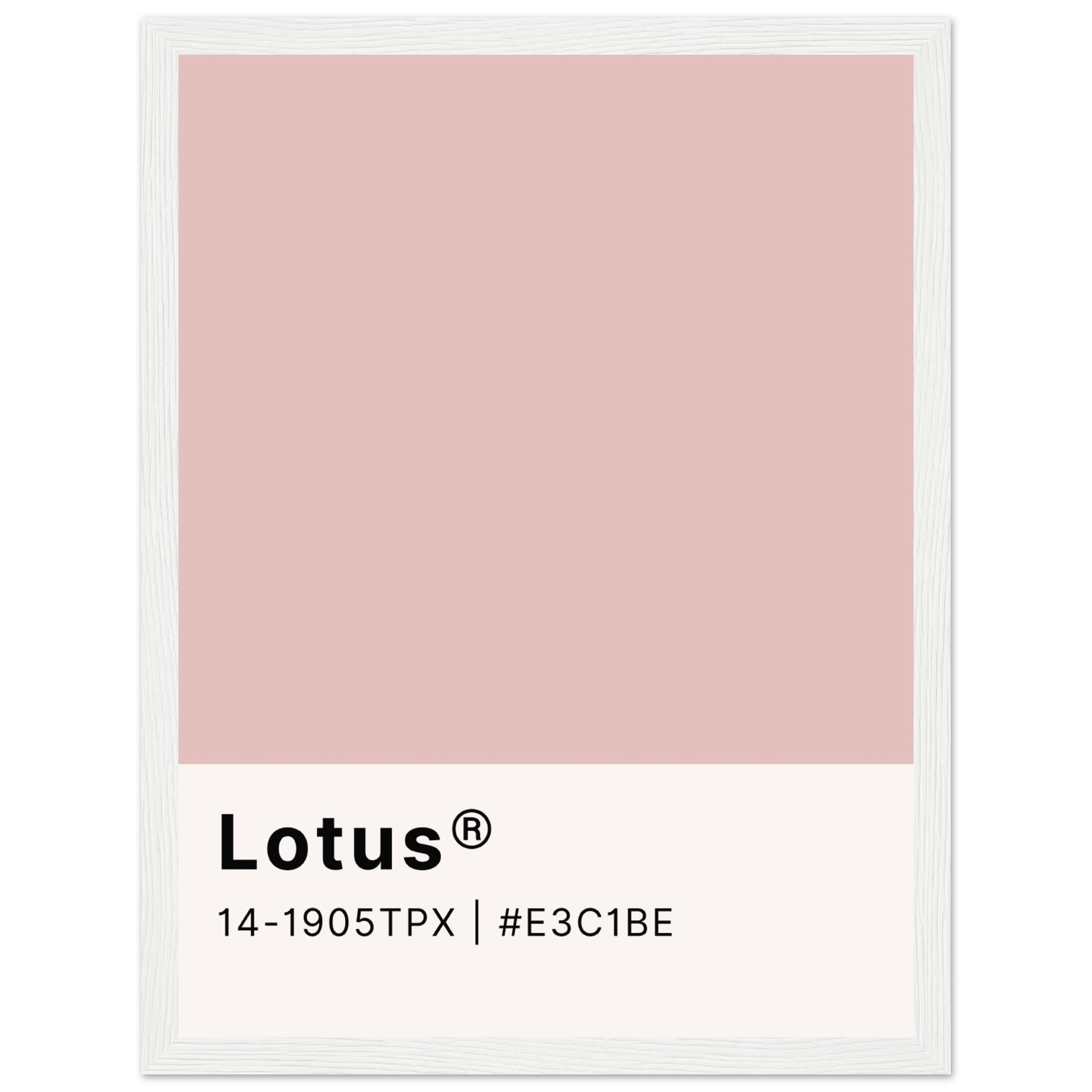 Pantone Lotus - Aurora Designs