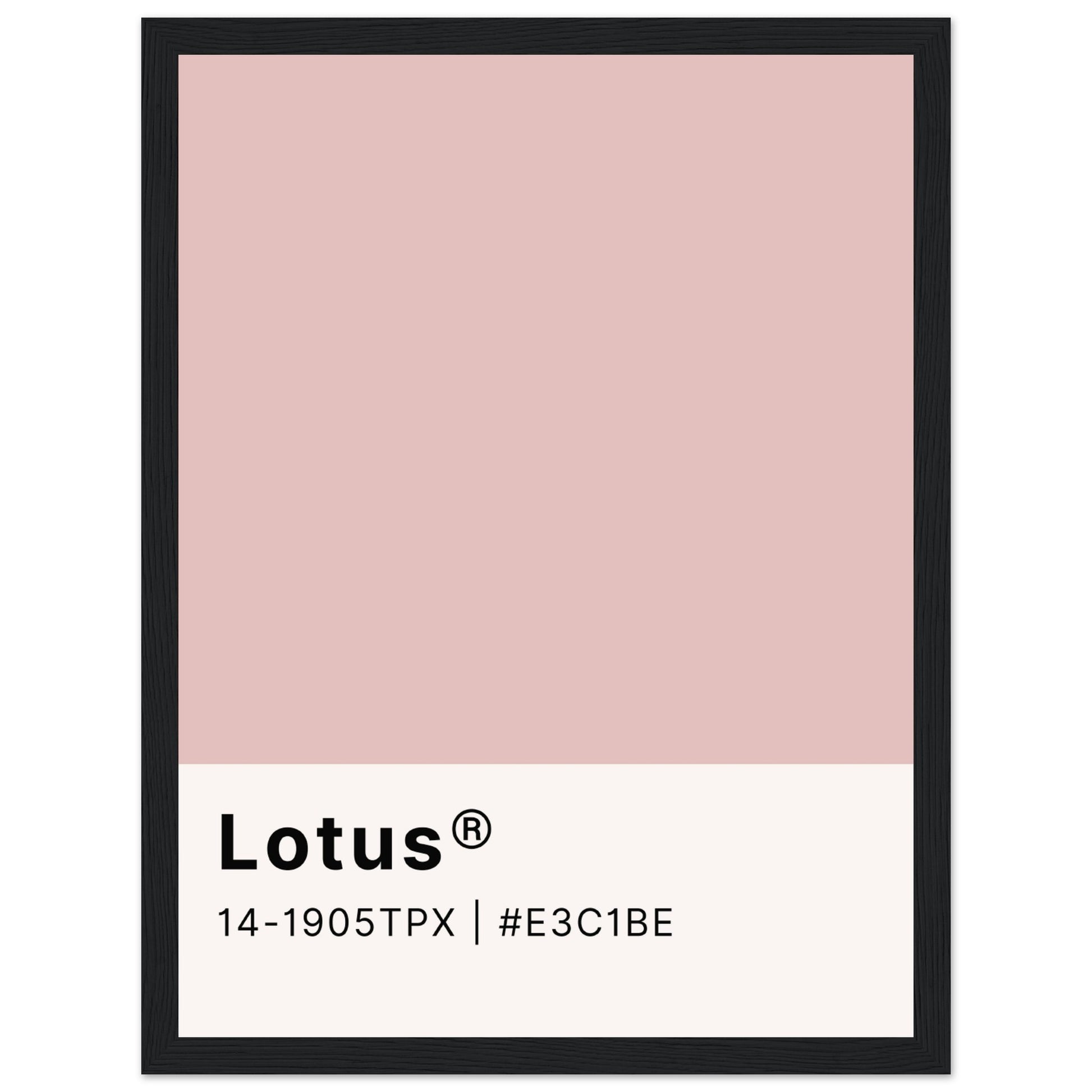 Pantone Lotus - Aurora Designs