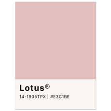 Pantone Lotus - Aurora Designs