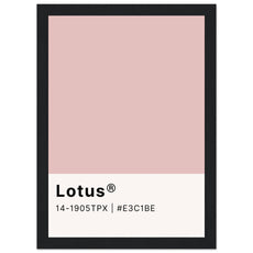 Pantone Lotus - Aurora Designs