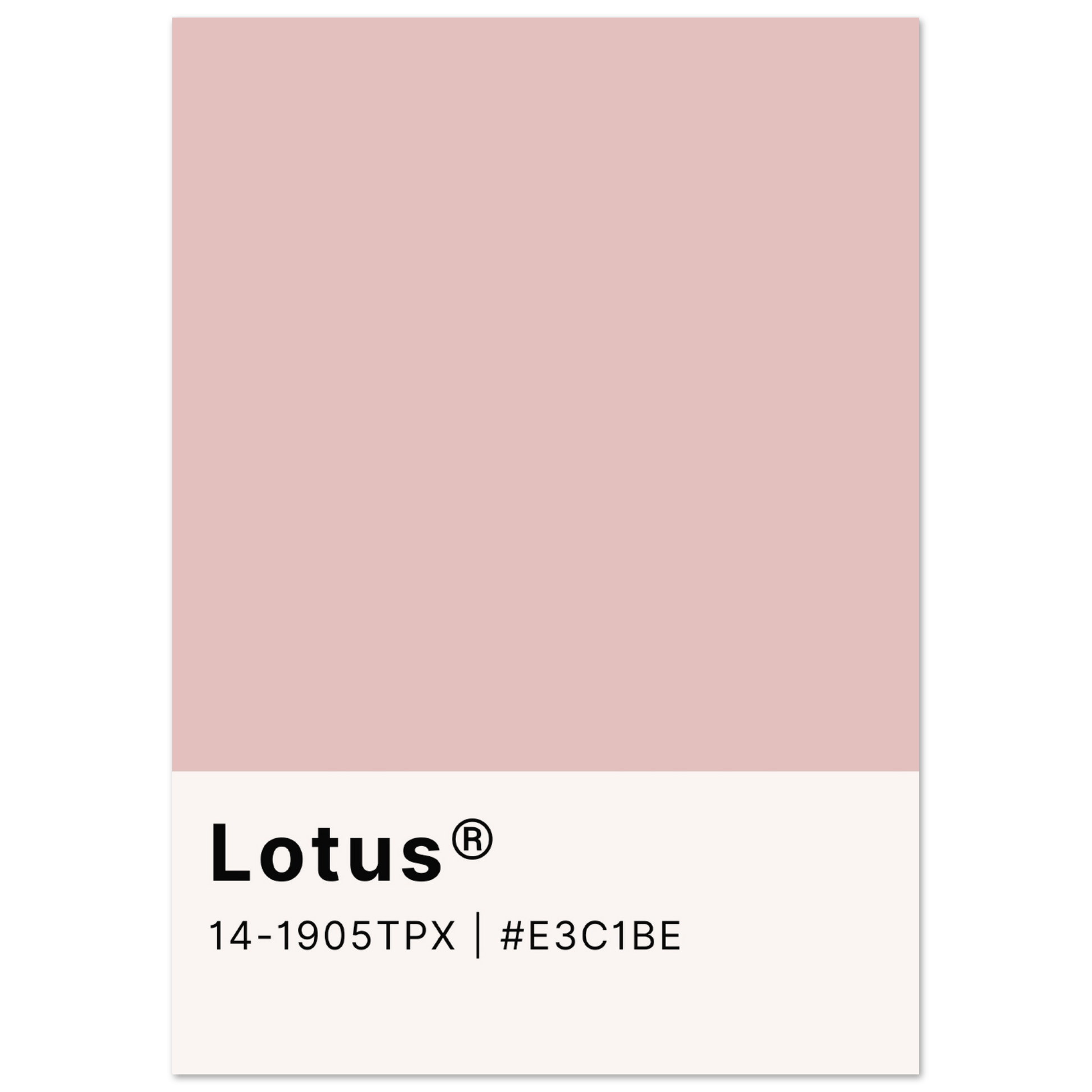 Pantone Lotus - Aurora Designs