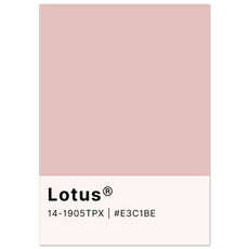 Pantone Lotus - Aurora Designs