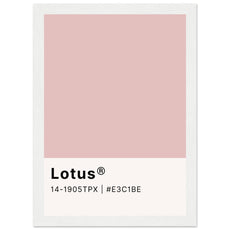 Pantone Lotus - Aurora Designs