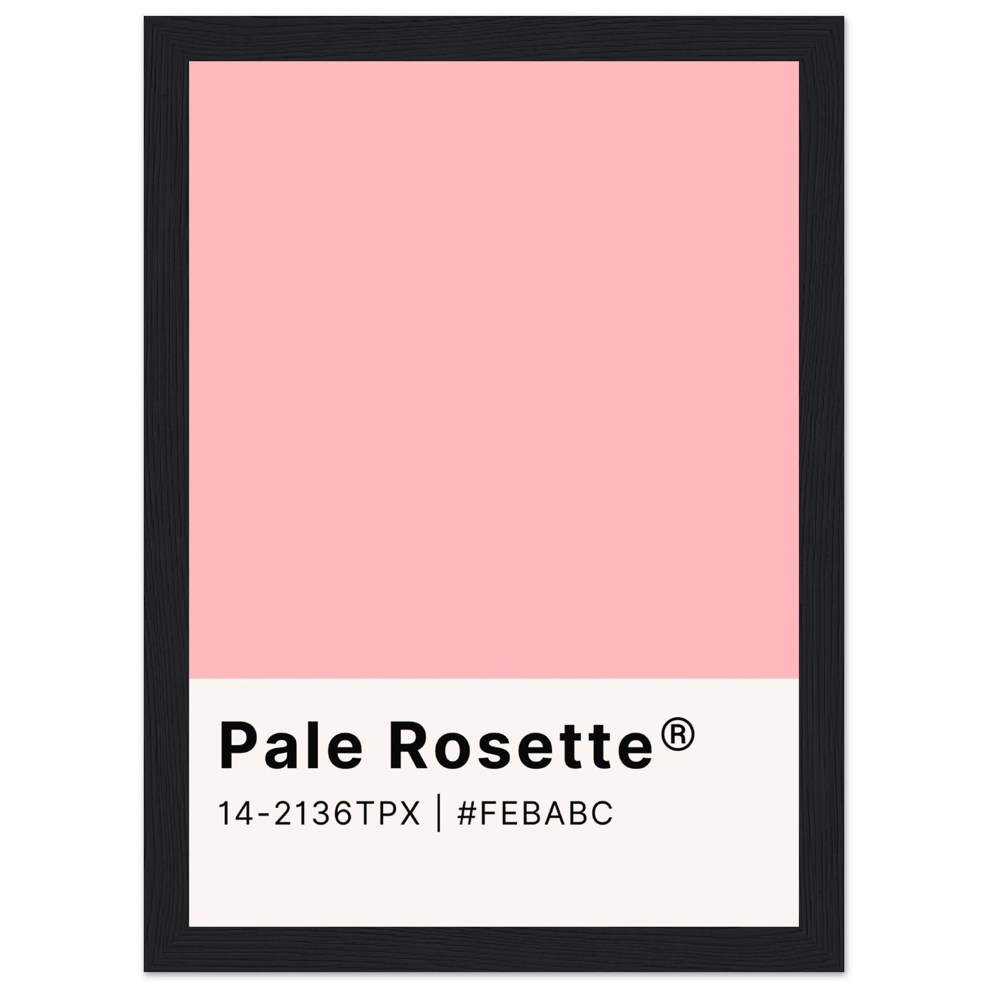 Pantone Pale Rosette - Aurora Designs