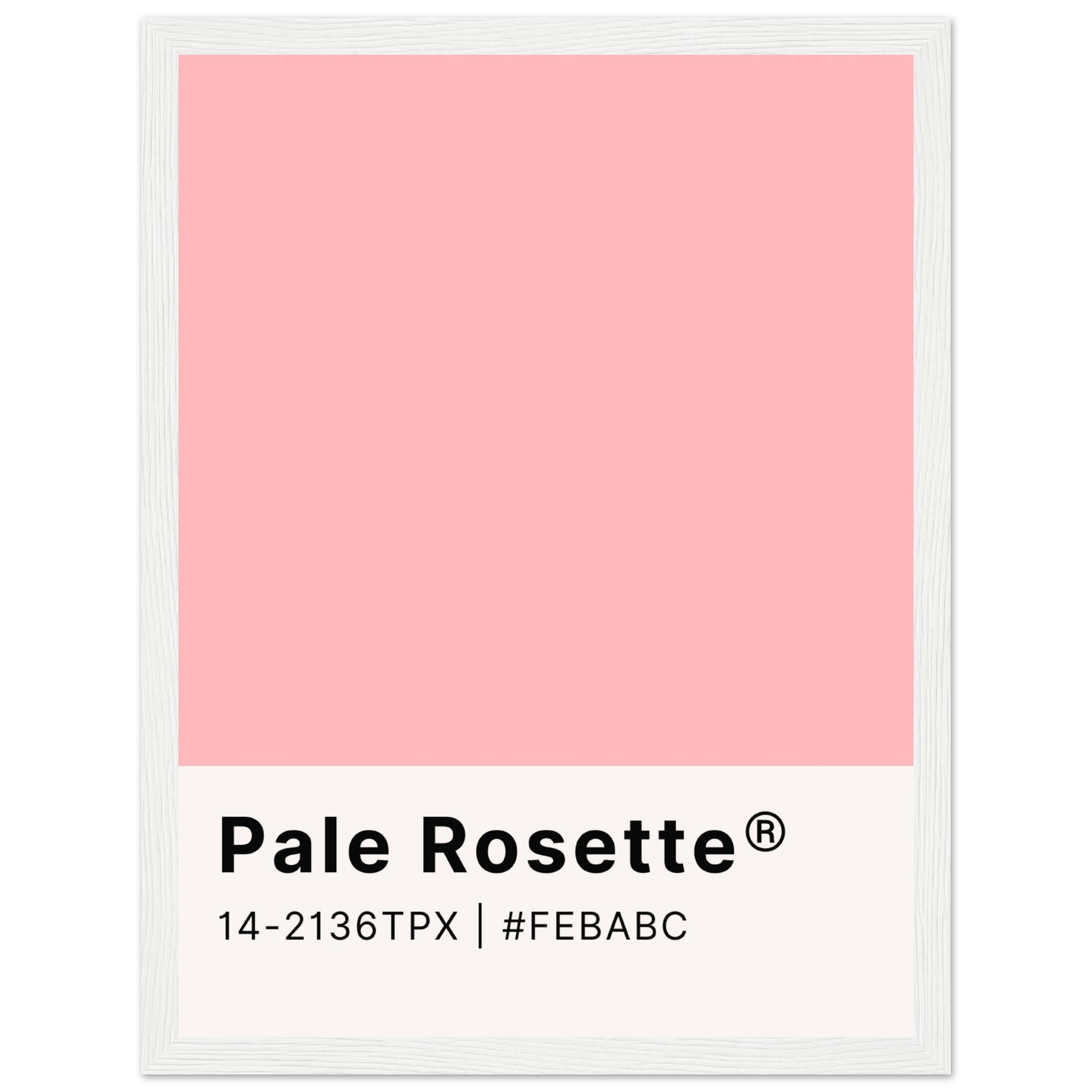 Pantone Pale Rosette - Aurora Designs