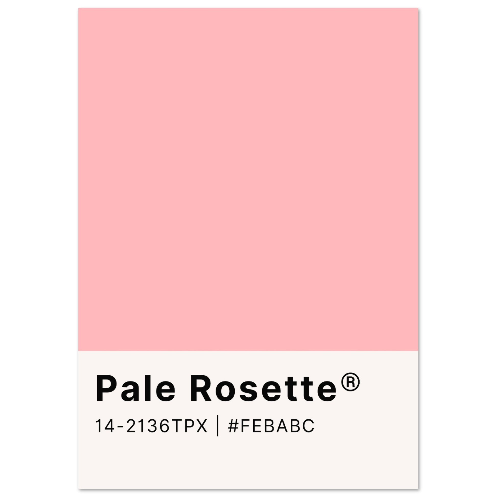 Pantone Pale Rosette - Aurora Designs