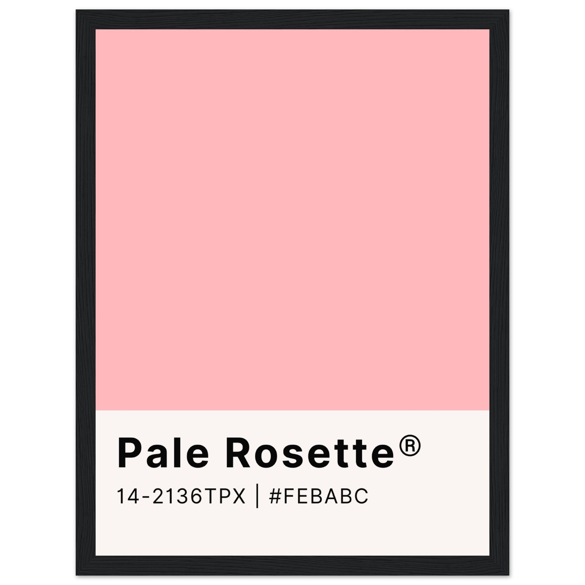 Pantone Pale Rosette - Aurora Designs