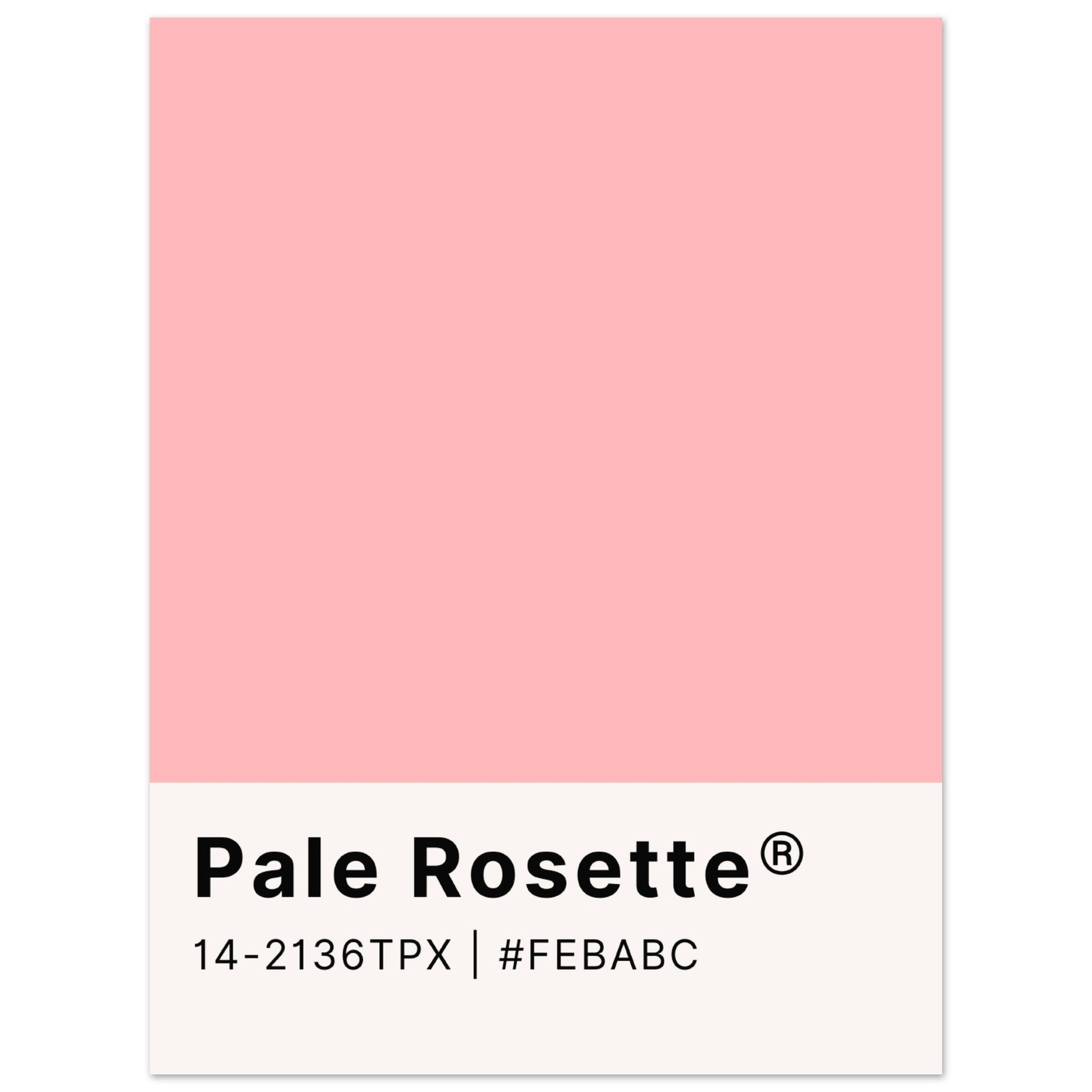 Pantone Pale Rosette - Aurora Designs