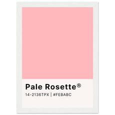 Pantone Pale Rosette - Aurora Designs