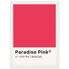 Pantone Paradise Pink - Aurora Designs