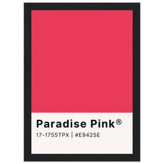 Pantone Paradise Pink - Aurora Designs