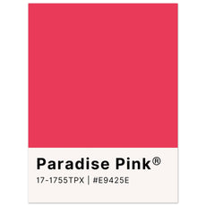 Pantone Paradise Pink - Aurora Designs