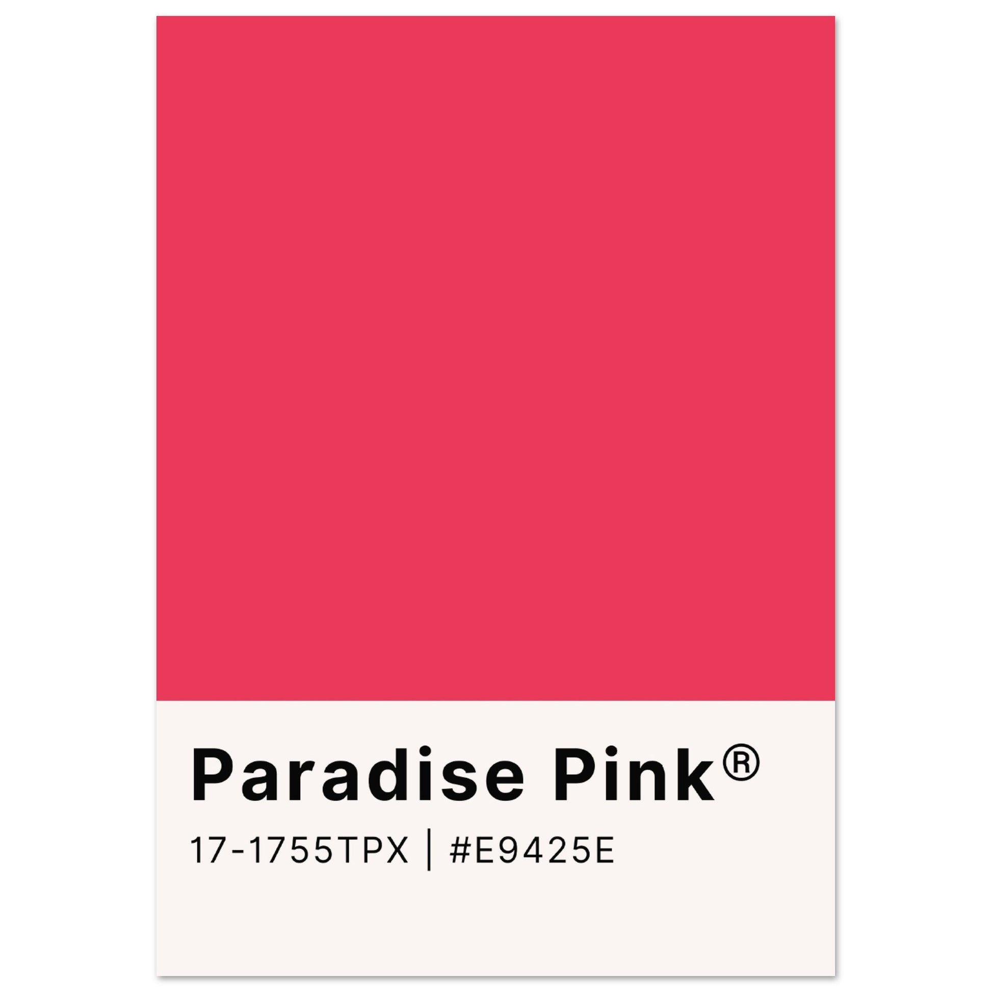 Pantone Paradise Pink - Aurora Designs