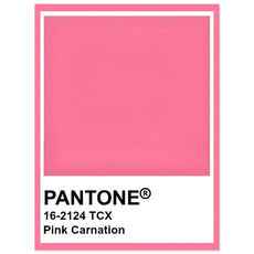 Pantone Pink Carnation - Aurora Designs