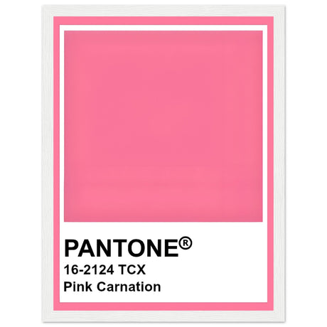 Pantone Pink Carnation - Aurora Designs