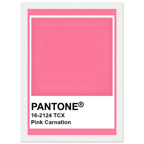 Pantone Pink Carnation - Aurora Designs