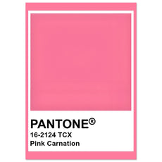 Pantone Pink Carnation - Aurora Designs