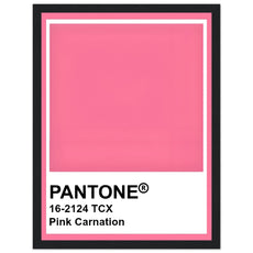 Pantone Pink Carnation - Aurora Designs