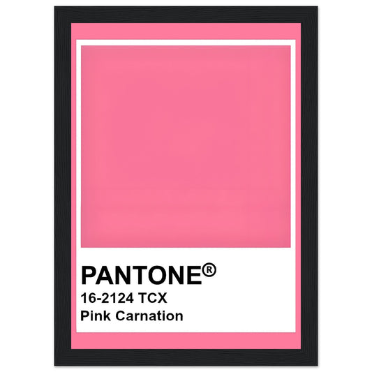 Pantone Pink Carnation - Aurora Designs