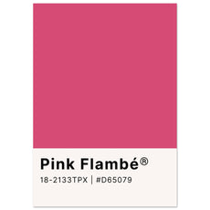 Pantone Pink Flambé - Aurora Designs