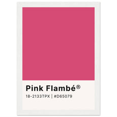 Pantone Pink Flambé - Aurora Designs